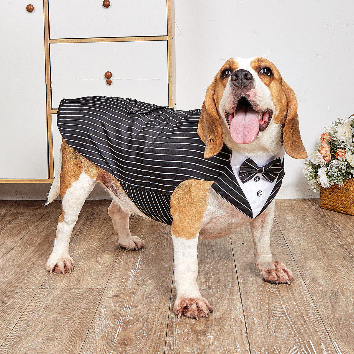 Elevate Your Pet's Style with Our Wedding Suit Jacket